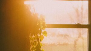 Cientistas criam capa transparente que transforma janelas padrão em painel solar