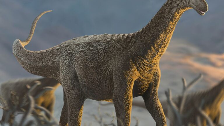 Fósseis mostram que dinossauros gigantes foram afetados por doença devastadora