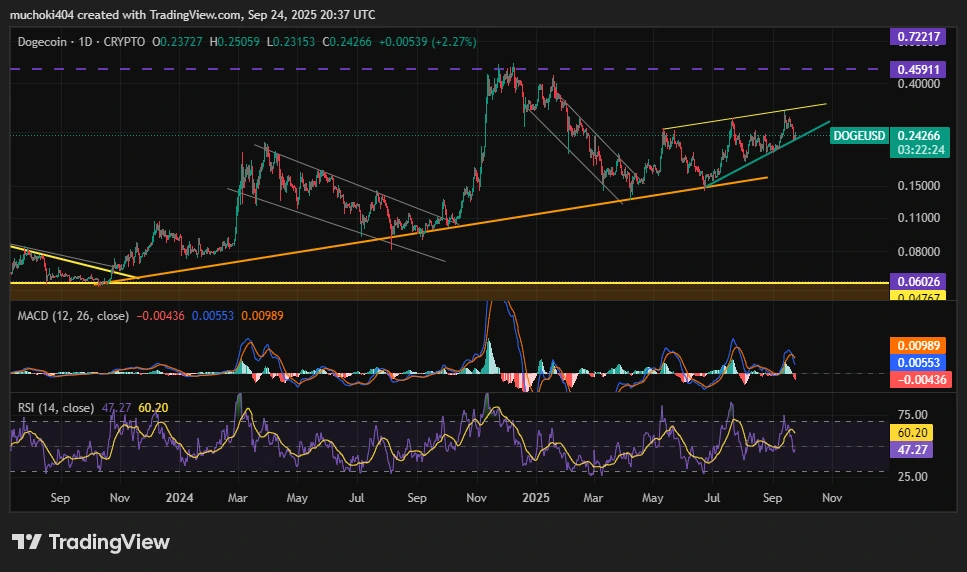 Análise de preços do DOGE