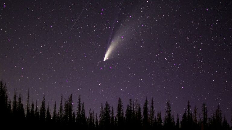 Binóculos e apps ajudam a visualizar o cometa Lemmon — também visível a olho nu