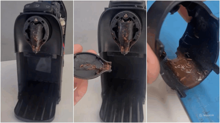 Café com larvas? 6 dicas para evitar que a cafeteira de cápsulas fique infestada