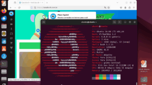 O Linux é realmente uma alternativa ao Windows 11 para o dia a dia? Entenda