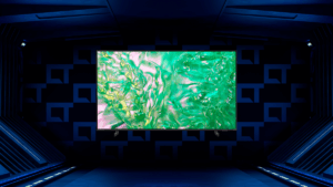 TV Samsung na Black Friday: quanto vale a pena pagar na DU8000?