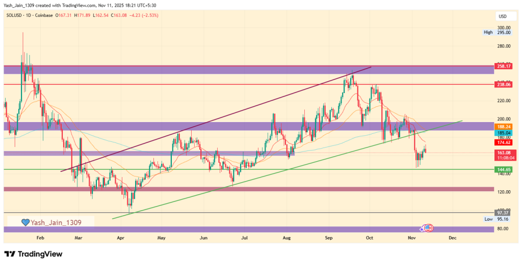 Previsão de preço SOL para 2025: Solana está caminhando para uma correção mais profunda antes de 2025?