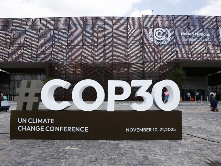 Em participação inédita, Judiciário engaja na COP30em discussões sobre Justiça Climática a partir de iniciativa conjunta do STF e CNJ