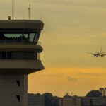 Colisões entre pássaros e aviões no Brasil são mais comuns do que você imagina