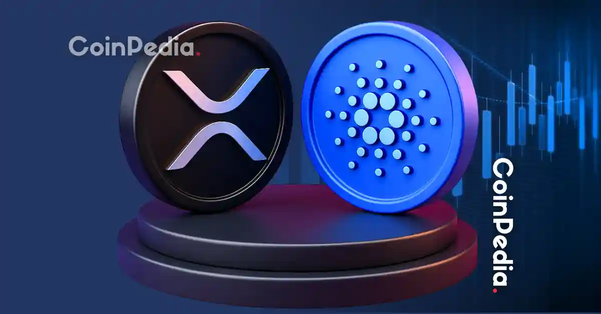 XRP vs ADA Qual Altcoin é melhor no longo prazo