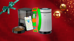 Presentes de Natal para quem tem pets: 5 ideias que donos e bichinhos vão amar