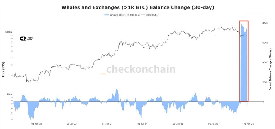 gráfico de baleia bitcoin