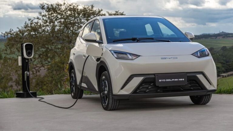 BYD explica por que o Dolphin Mini seguirá 100% elétrico