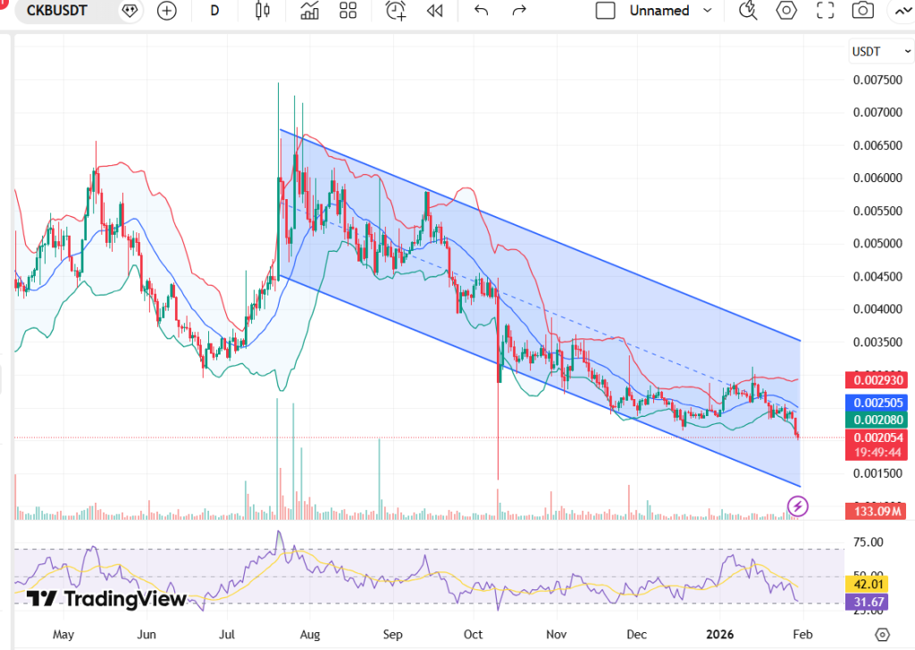 Metas de preços da rede Nervos para fevereiro de 2026