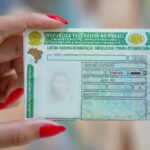 Renovação automática da CNH já está valendo? Veja como funciona