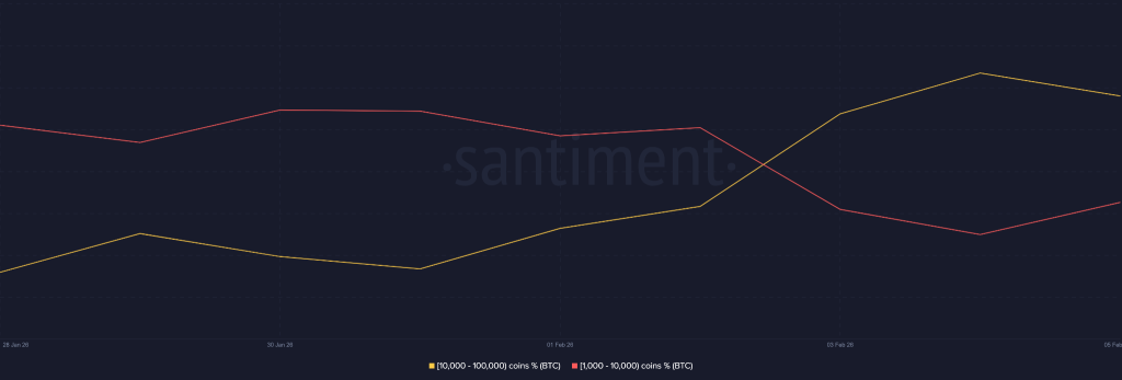 Teste de sobrevivência do preço do Bitcoin: uma revisita de US$ 53 mil é inevitável?