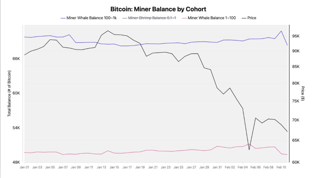 O preço mais baixo do Bitcoin ainda não chegou? Dados sinalizam mais sofrimento pela frente