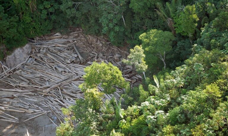 E se a GTA indicasse o CAR?