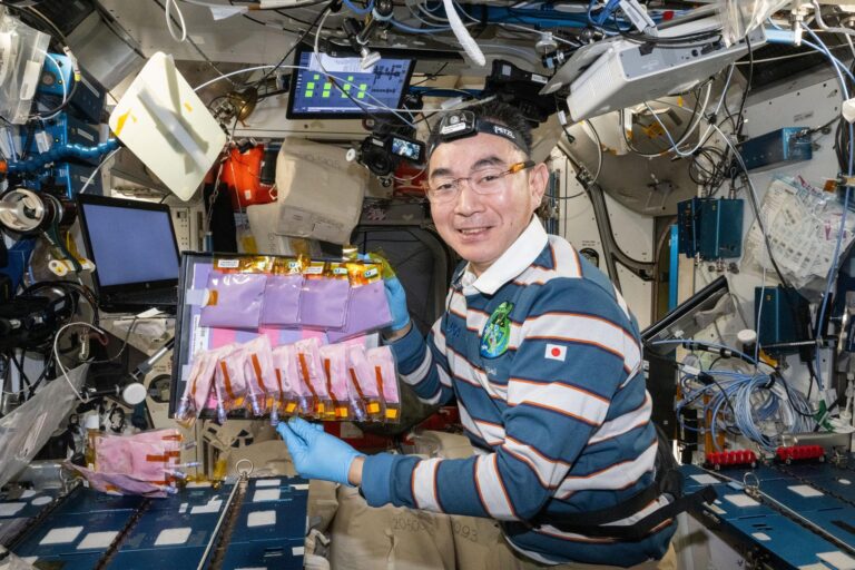 Estudo da NASA para analisar amostras de alimentos fermentados do espaço