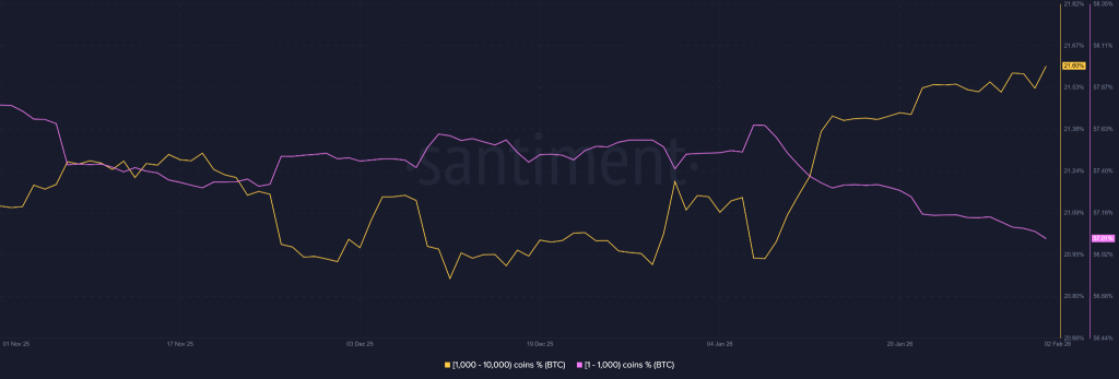 Preço do BTC entra em fase de redefinição após crash de US$ 74.500 abalar estrutura de mercado