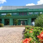 Quem são os possíveis candidatos ao governo de Goiás nas eleições 2026