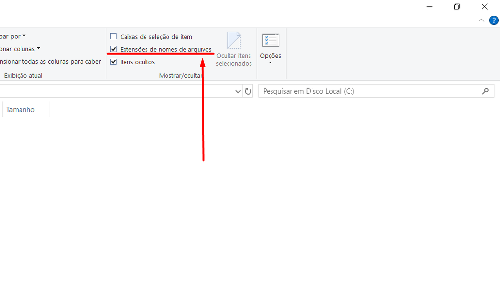 Ativar a opção de exibir a extensão dos arquivos já ajuda bastante a evitar malwares em .scr (Imagem: Captura de Tela/Lillian Sibila/Canaltech)