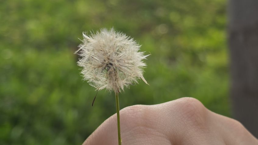 Galaxy S26 Ultra - teste de c&acirc;meras