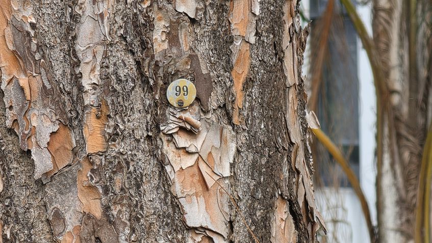 Galaxy S26 Ultra - teste de c&acirc;meras