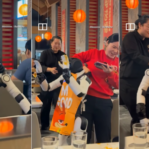 Robô descontrolado quebra pratos em restaurante na China ao "dançar errado"
