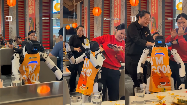 Robô descontrolado quebra pratos em restaurante na China ao "dançar errado"