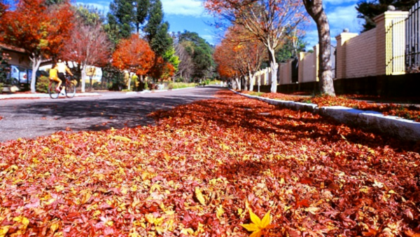 Outono 2026: entenda como a inclinação da Terra define as estações do ano