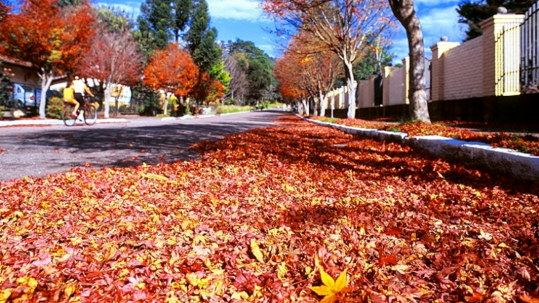Outono 2026: entenda como a inclinação da Terra define as estações do ano