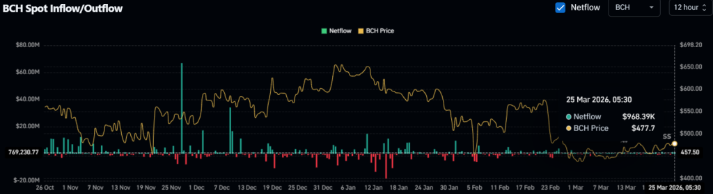 Dados de fluxos de rede BCH