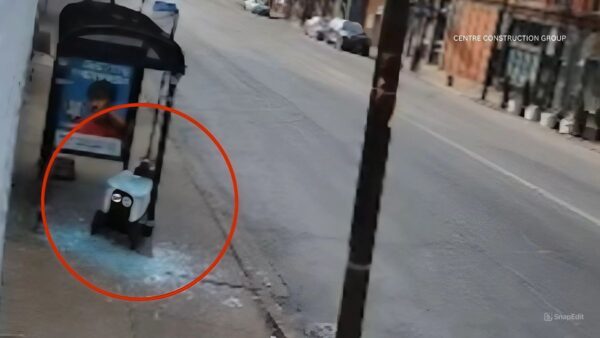 Robô é flagrado "cometendo vandalismo" nos EUA; veja vídeo