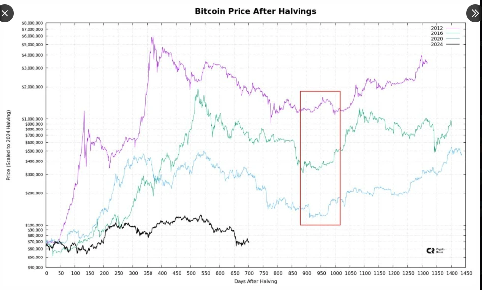 Ação do preço do BTC após o halving