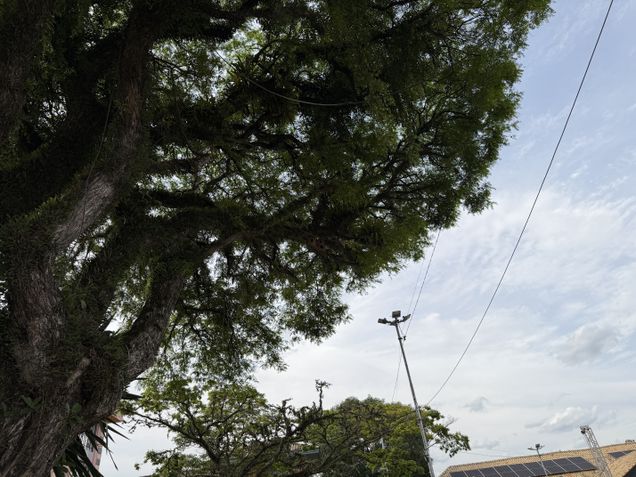 iPhone 17 Pro - C&acirc;mera principal