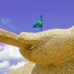 A processualização do direito constitucional