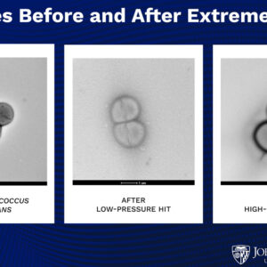 A vida na Terra realmente começou em Marte? Impactos de asteróides podem permitir que micróbios pulem no planeta, sugere estudo
