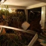 ANS aprova flexibilização a operadoras de regiões atingidas por chuvas em MG