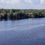 Amazônia: uma ciência para se pensar