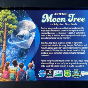Artemis Moon Tree dedicada em homenagem a Mary W. Jackson