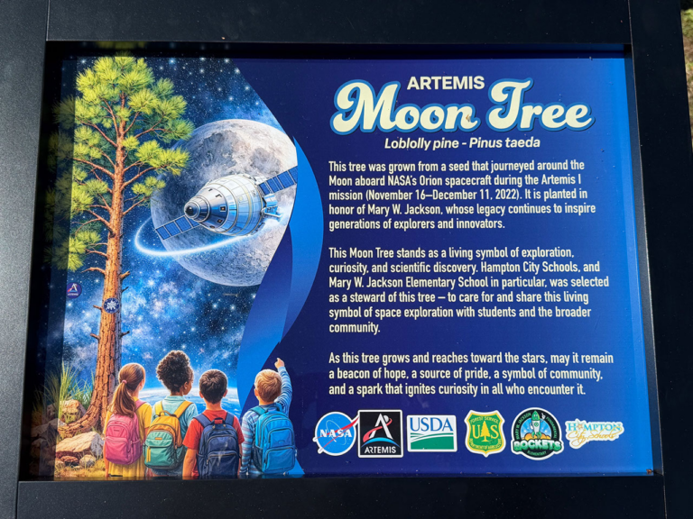 Artemis Moon Tree dedicada em homenagem a Mary W. Jackson