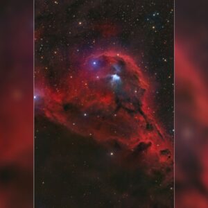 Astrofotógrafo passa quase 70 horas capturando uma delicada nebulosa azul em Orion (foto)