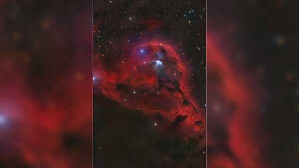 Astrofotógrafo passa quase 70 horas capturando uma delicada nebulosa azul em Orion (foto)
