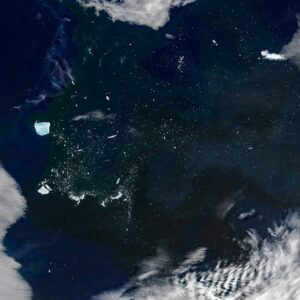 Enfermo "Megaberg" desencadeia uma onda de vida microscópica