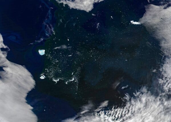 Enfermo "Megaberg" desencadeia uma onda de vida microscópica