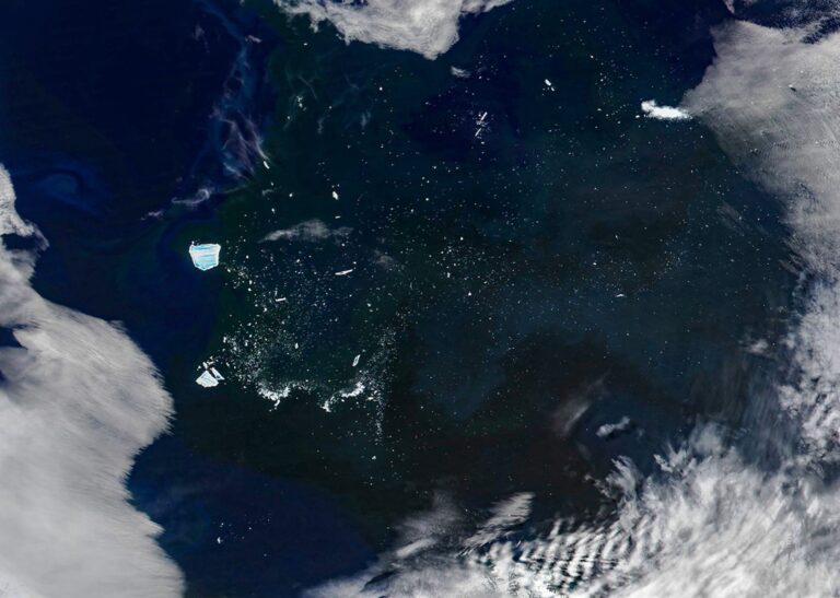 Enfermo "Megaberg" desencadeia uma onda de vida microscópica