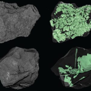 NASA espia dentro de uma foto de asteróide do dia 19 de março de 2026