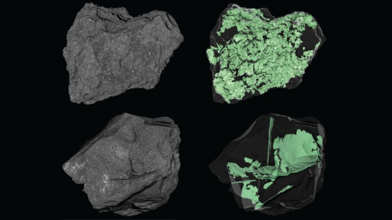 NASA espia dentro de uma foto de asteróide do dia 19 de março de 2026