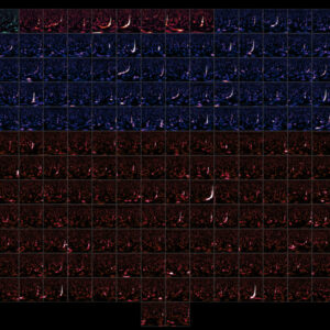 O universo está vibrando com ondulações no espaço-tempo: os cientistas acabaram de dobrar nosso catálogo de colisões de buracos negros e estrelas de nêutrons