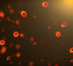 Poderia o nosso universo existir porque os buracos negros consumiram toda a antimatéria?