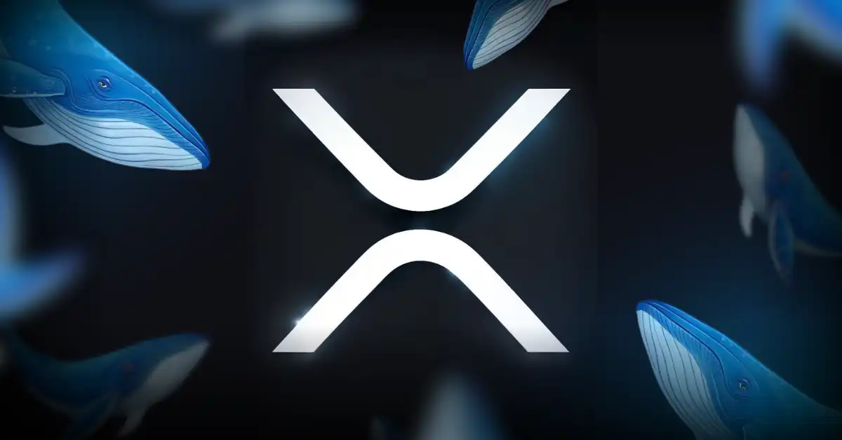 Previsão de preço XRP $ 100
