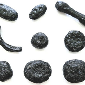 Vidro raro de meteorito de 6 milhões de anos encontrado no Brasil – mas a cratera ainda está desaparecida